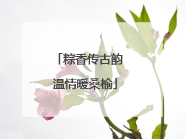 粽香传古韵 温情暖桑榆